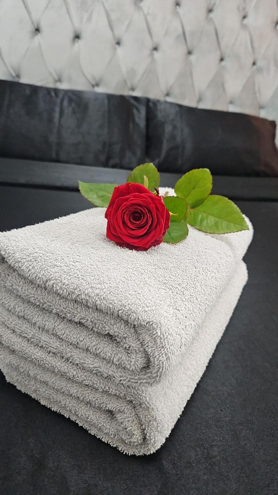 Suite Jacuzzi "Spa Privatif " Appartement Jacuzzi Тулуза Экстерьер фото